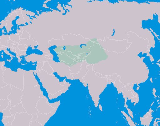 L’Asie Centrale. (Wikipédia)